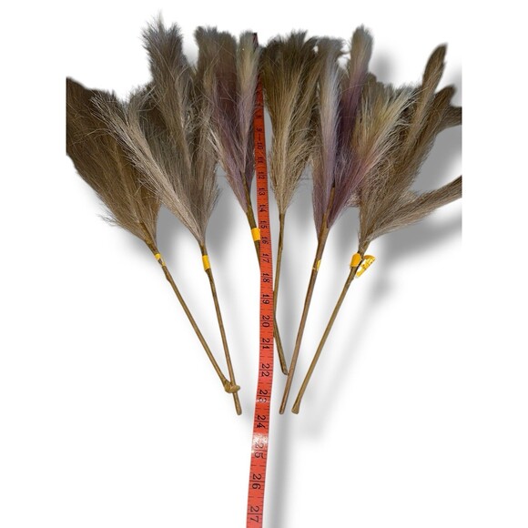 Faux Pampas Grass Fluffy Artificial Tall Stems Beige Boho 6 pcs 22 inches - Picture 5 of 16